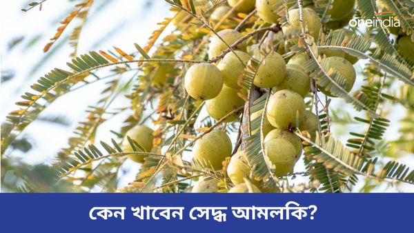 একটি আমলকি সেদ্ধ আপনার শরীরকে সারাজীবন ফিট রাখতে পারে, কিন্তু কীভাবে, জানুন