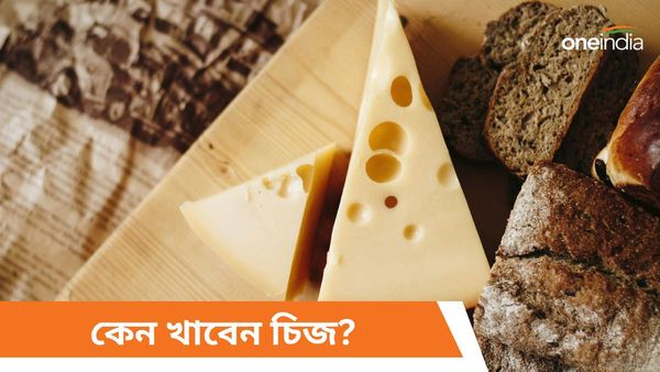 রোজই খাচ্ছেন চিজ ওমলেট, স্বাস্থ্যের জন্য উপকারী না ক্ষতিকর চিজ খাওয়া, জানুন