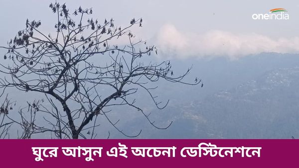 Travel: বাজেটে পাহাড় ভ্রমণ করতে চান, গরমের ছুটিতে চলে আসুন এই পাগল করা লোকেশনে