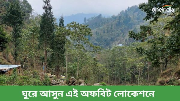 Travel: পাহাড়ের কানে কথা বলে যায় ঝরনা, এই পাহাড়ি গ্রামের প্রেমে পড়বে না এমন পর্যটক মেলা মুশকিল