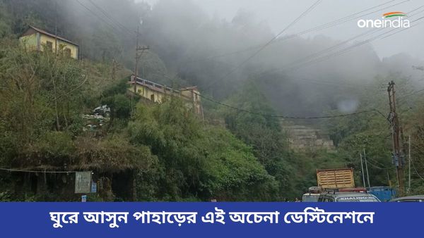 Travel: পাইনে ঘেরা রাস্তা আর পাখির ডাক, ঘুরে আসুন পাহাড়ের এই অচেনা ডেস্টিনেশনে