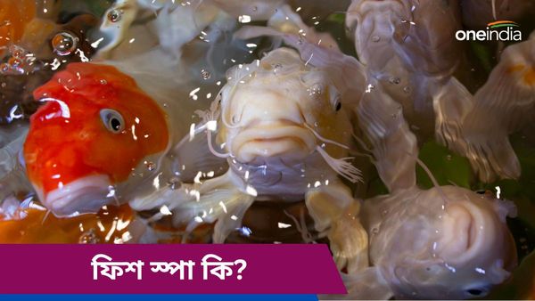 উইকেন্ডেই ফিশ স্পা করতে ছুটছেন পার্লারে, কতটা ক্ষতি করছেন নিজের, জানেন?