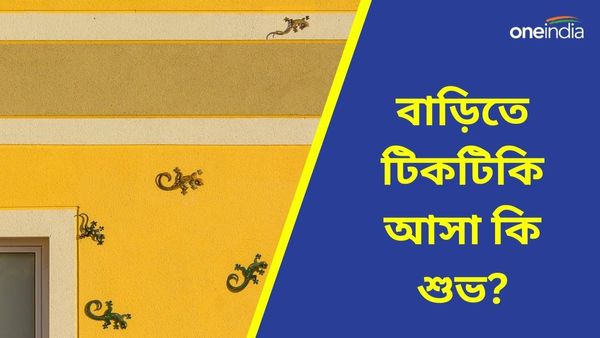 ঘরে টিকটিকির উৎপাতে টিকতে পারছেন না, আদৌও কি এটি আপনার সংসারের জন্য শুভ?