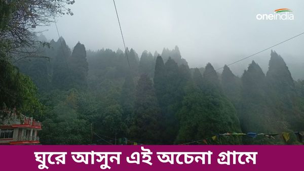 Travel: পাহাড় মানেই কি কেবল দার্জিলিং-কালিম্পং, ঘুরে আসুন এই অচেনা লোকেশনে