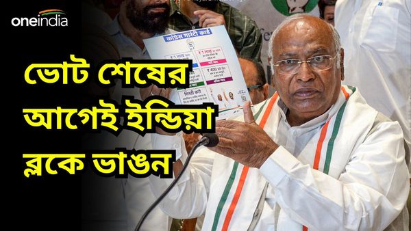 Lok Sabha Election 2024: ভোট শেষের আগেই ইন্ডিয়া ব্লকে ভাঙন! খাড়গের নিশানায় পঞ্জাবের আপ সরকার