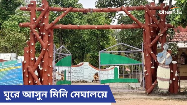 Travel: বৃষ্টি শুরু হয়েছে, দহনের তীব্রতা অনেকটাই কম, ঘুরে আসুন ঘরের কাছের এই মিনি মেঘালয়ে