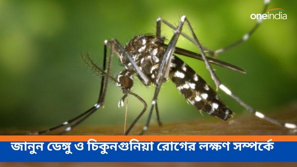 বাড়ছে ডেঙ্গু ও চিকুনগুনিয়া রোগীর সংখ্যা, রোগের লক্ষণ, জানুন প্রতিরোধের উপায়