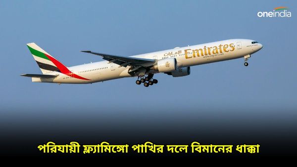 মুম্বইতে এমিরেটস বিমানের ধাক্কায় ৩৬ টি ফ্ল্যামিঙ্গো পাখির মৃত্যু, ক্ষতি উড়োজাহাজেও