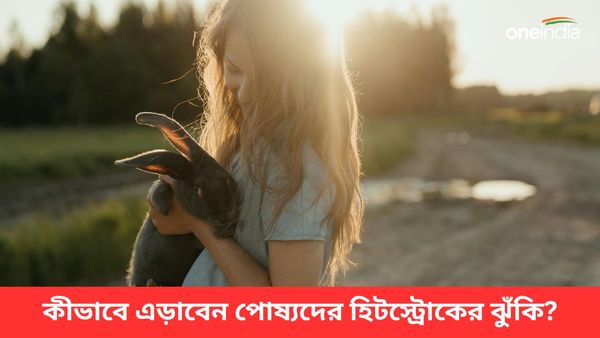 গরমে বাড়ছে পোষ্যদের হিটস্ট্রোকের ঝুঁকি, রেহাই মিলবে কোন উপায়ে, জানুন   