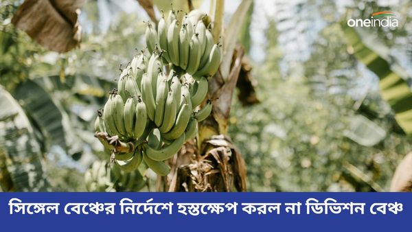 বাড়িতেই বানিয়ে ফেলুন কাঁচাকলার এই রেসিপিগুলি, স্বাদের পাশাপাশি স্বাস্থ্যের জন্যও উপকারী 