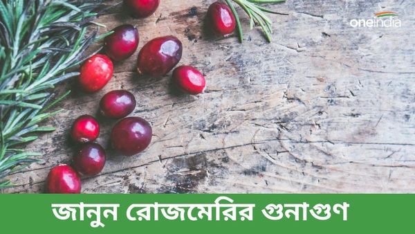 ত্বক থেকে চুল উজ্জ্বল রাখতে, স্মৃতিশক্তি বাড়াতে, মানসিক চাপ কমাতে ভরসা রাখুন রোজমেরির ওপর