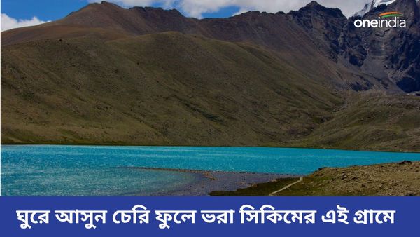 Travel: বর্ষা আসার আগে পাহাড় ঘুরে নিন, গরমের ছুটিতে ঘুরে আসুন সিকিমের এই হেরিটেজ গ্রামে