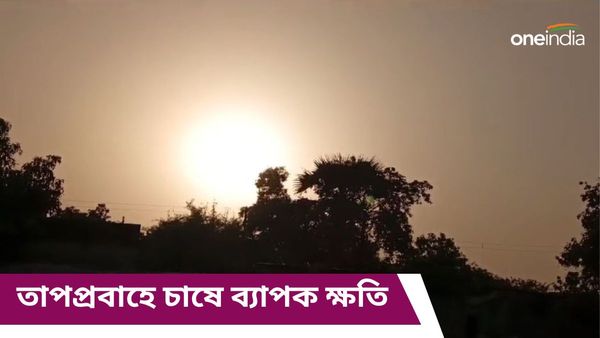 তাপপ্রবাহে মাঠেই শুকিয়েছে ফসল, জেলায় জেলায় ব্যাপক ক্ষতি! সাহায্য না পেয়ে ক্ষোভ বাড়ছে সরকারের বিরুদ্ধে