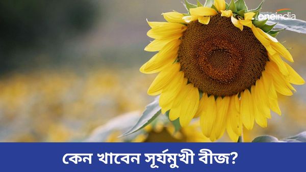 হার্ট অ্যাটাক থেকে থাইরয়েডের ঝুঁকি কমাতে নিয়মিত খান এই বীজ, পাবেন হাতেনাতে ফলাফল    
