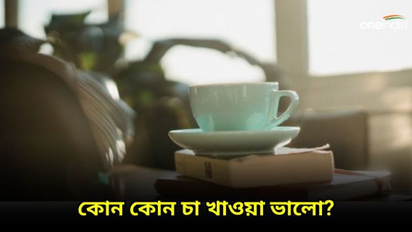 গরমকালে চা না খেয়ে খান এই ভেষজ টিগুলি, পাবেন ভরপুর এনার্জি, কাজে থাকবে দুরন্ত গতি