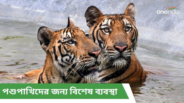 Heat Wave: বরফ দেওয়া কুলারের ঠান্ডা হাওয়া, খাওয়ানো হচ্ছে ফল-জল, গরমে নাজেহাল পশু-পাখিদের জন্য বিশেষ উদ্যোগ