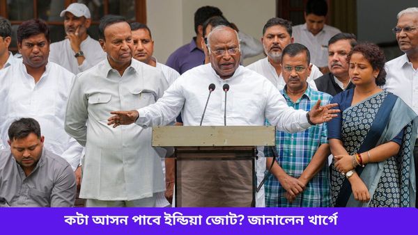 Lok Sabha Election: ভোট পর্ব মিটতেই সক্রিয় বিরোধী শিবির, কতগুলি আসন জিতবে ইন্ডিয়া জোট? জানালেন খার্গে