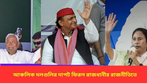 Lok Sabha Election Results: একাধিপত্যের অবসান, জোট গড়েই সরকার চালাতে হবে মোদীকে, আঞ্চলিক দলের বাড়ল দাপট