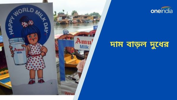 Milk Price: ভোট মিটতেই মধ্যবিত্তের পকেটে কোপ, দাম বাড়ল প্যাকেটজাত দুধের