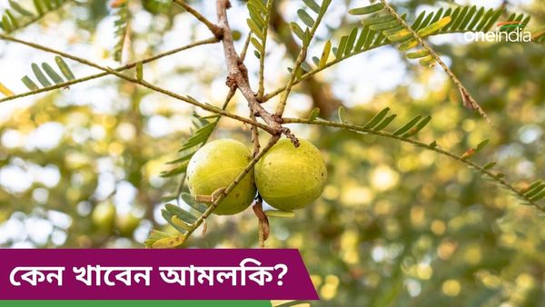 পুষ্টিগুণে ঠাসা এই টক ফলের গুণেই শরীর থেকে পালাবে হাজারও রোগ
