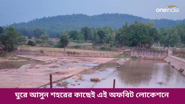 Travel: সপ্তাহান্তে লং ড্রাইভে যেতে চান, একটু নিরিবিলিতে সময় কাটাতে চাইলে চলে আসুন কলকাতার কাছেই ডেস্টিনেশনে