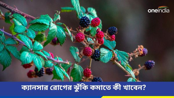 মারণরোগ ক্যানসারের ঝুঁকি কমাতে গরমে নিত্যদিন পাতে রাখুন এই খাবারগুলি