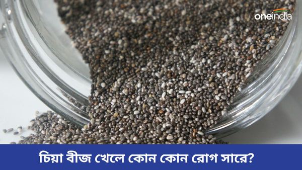 ওজন নিয়ন্ত্রণে রাখার পাশাপাশি আর কী কী গুণ রয়েছে চিয়া বীজের, জানুন
