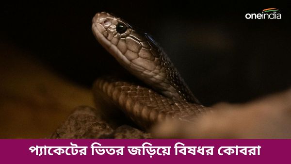 অ্যামাজন অনলাইন প্রোডাক্টের প্যাকেট খুলতেই শরীরে ঠান্ডা স্রোত মহিলার! ওটা কী ভিতরে?
