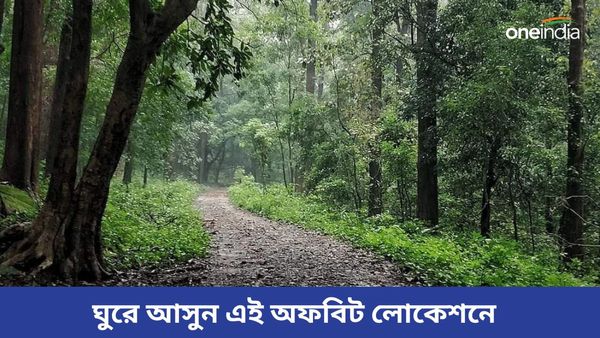 Travel: পাহাড়ের কোলে নিঝুম অরণ্য, ঘুরে আসুন মহানন্দা স্যাঞ্চুয়ারির এই অফবিট লোকেশনে