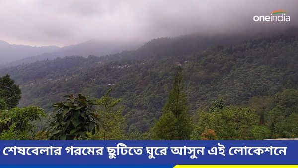 Travel: ভোট শেষ তাই ছুটির মুড, কোথায় যাবেন শেষবেলার গরমের ছুটি কাটাতে রইল ঠিকানা