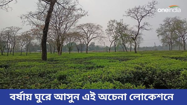 Travel: চা বাগানে বর্ষা দেখতে হলে চলে আসুন পাহাড়ের এই অফবিট লোকেশনে