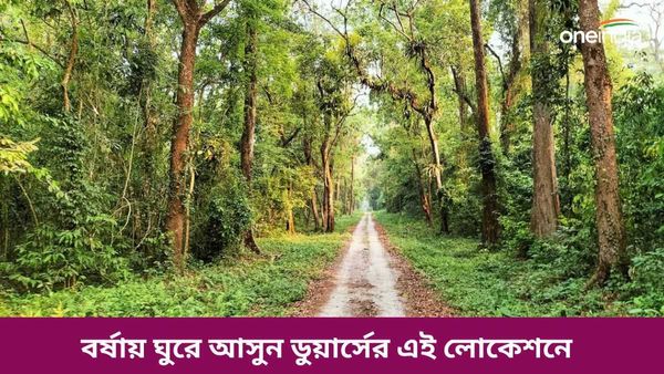 Travel: রিসর্টের সামনেই হাতির দল আসে নদীতে জল খেতে, বর্ষায় এমন বন্য সৌন্দর্য উপভোগ করতে হলে চলে আসুন এখানে