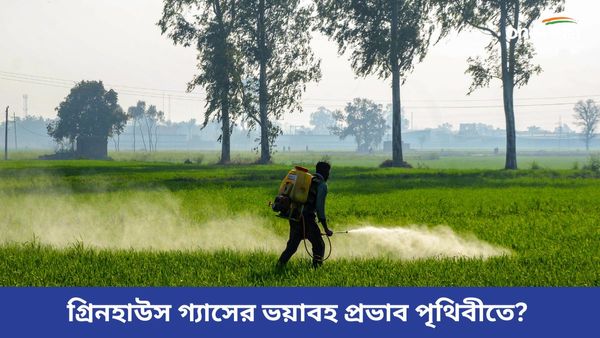 ভয়াবহ বিশ্ব উষ্ণায়ন সমস্যা, গত চার দশকে ৪০ শতাংশ বেড়েছে নাইট্রাস অক্সাইড