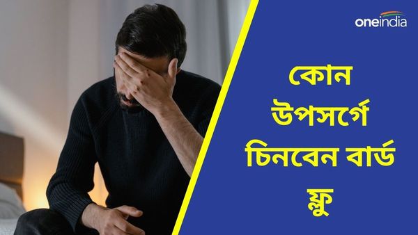 Bird Flu: জ্বর-সর্দিকাশি হলেই কি বার্ড ফ্লু? কোন উপসর্গে ধরা পড়বে সংক্রমণ? কী বলছেন চিকিৎসকরা