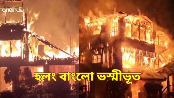 Hollong Bungalow: জলদাপাড়ার হলং বাংলো রাতের অন্ধকারে ভস্মীভূত, কীভাবে লাগল আগুন?