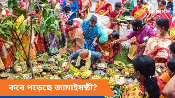জামাইষষ্ঠীর তারিখ, কেন পালন করা হয়, ইতিহাস সম্পর্কে জানুন