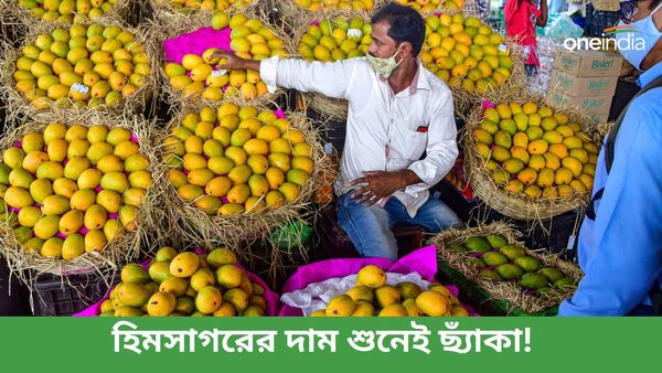 ১২০ টাকা কেজি! জামাইষষ্ঠীর দিন কোথায় ঠেকবে হিমসাগর আমের দাম?