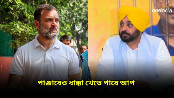 Lok Sabha Election: পাঞ্জাবেও ধাক্কা খেতে পারে আপ, কংগ্রেসের ভালো ফলের ইঙ্গিত সমীক্ষায়, কেমন হবে বিজেপির ফল?
