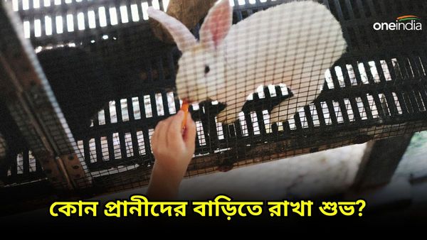 পরিবারে সুখ বজায় রাখতে ও আর্থিক দিকে উন্নতি করতে আজই বাড়িতে আনুন এই প্রাণীগুলিকে
