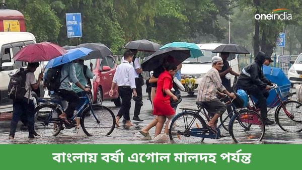 Monsoon: বাংলায় বর্ষা এগোল মালদহ পর্যন্ত! দক্ষিণবঙ্গে মৌসুমী বায়ু কবে, কী বলছে আবহাওয়া দফতর