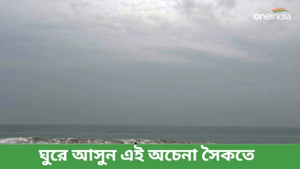 Travel: বর্ষায় হাতছানি দিচ্ছে সমুদ্র, ঘুরে আসুন কলকাতার কাছেই এই জায়গায়