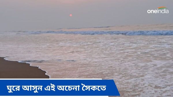 Travel: সমুদ্রের প্যানোরামিক ভিউ পেতে চলে আসুন এই জায়গায়, কলকাতার কাছেই রয়েছে সেই সৈকত