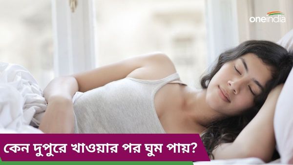 দুপুরে খাবার খাওয়ার পরেই ঘুম পায়, কিন্তু কেন, কোন রোগের লক্ষণ, জানুন