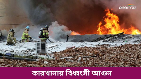 South Korea: দক্ষিণ কোরিয়ার একটি কারখানায় বিধ্বংসী আগুন, ঝলসে মৃত্যু ২১ জনের