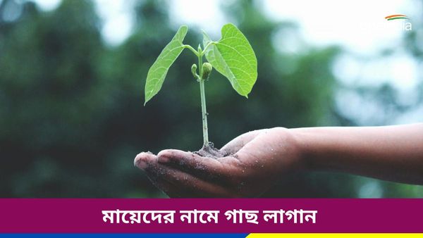 Mann Ki Baat: একটি গাছ মায়েদের নামে, তৃতীয় সরকারের প্রথম মন কি বাতেই নতুন কর্মসূচি ঘোষণা করলেন মোদী