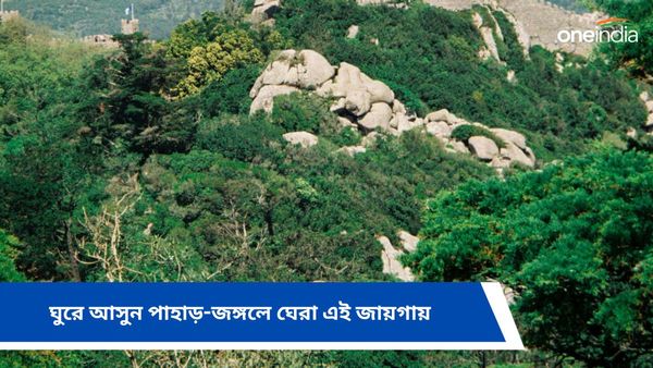 Travel:  সপ্তাহান্তের ছুটিতে ঘুরে আসুন বাংলার আরাকু ভ্যালিতে, একেবারে অফবিট ডেস্টিনেশন