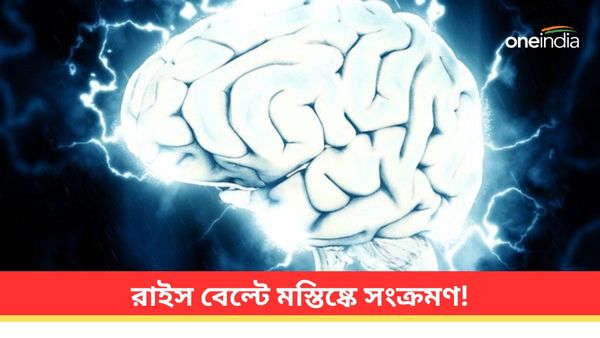 বর্ষায় সতর্ক থাকুন! ভারতের রাইস বেল্টে বসবাসকারীদের মস্তিষ্কের সংক্রমণ নিয়ে সাবধানবাণী চিকিৎসকদের