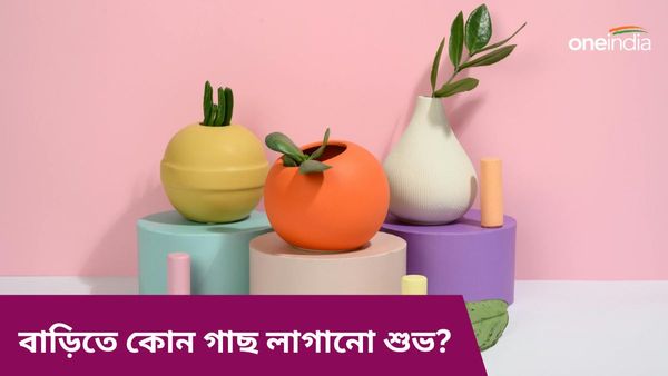এই গাছ বাড়িতে রাখলে পকেটে উপচে পড়বে টাকা, পাবেন মা লক্ষ্মীর কৃপাও