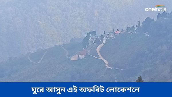 Travel: সে এক স্বপ্নের গ্রাম, পুজোর ছুটিতে ঘুরে আসুন এই আনকোড়া লোকেশনে