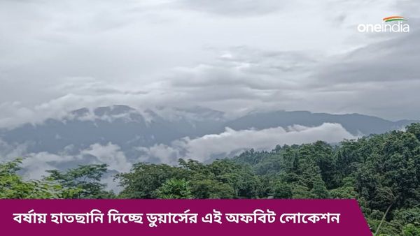 Trave: জঙ্গল নয় ডুয়ার্সের এই জায়গা মোহিত করবে আপনাকে, বর্ষায় সৌন্দর্য আরও কয়েকগুণ বেড়ে যায়